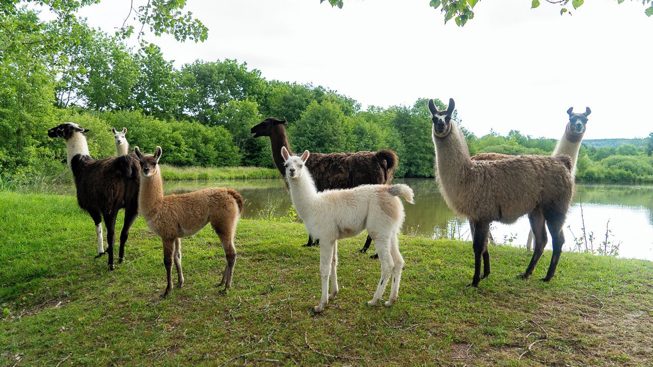 Photo of Others in Saint-Bonnet-de-Vieille-Vigne