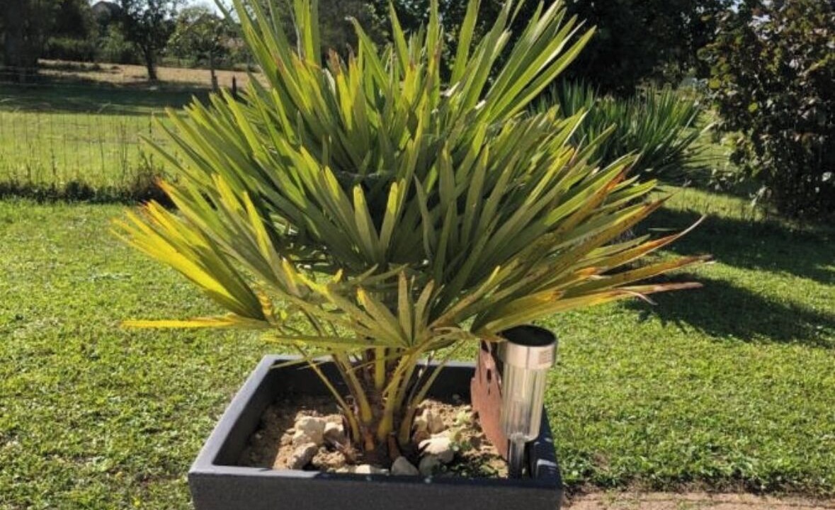 Photo of Outdoor in Velet