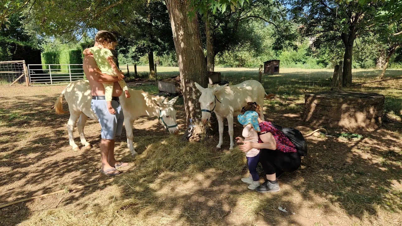 Photo of Others in Montlaur