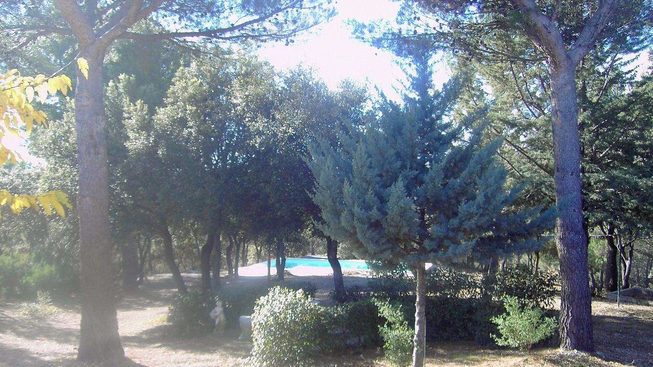 Photo of Outdoor in Puget