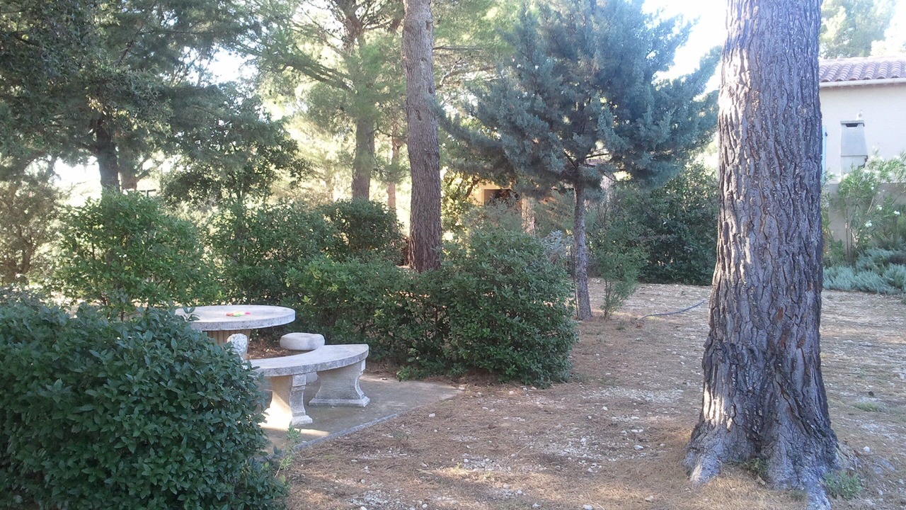 Photo of Outdoor in Puget