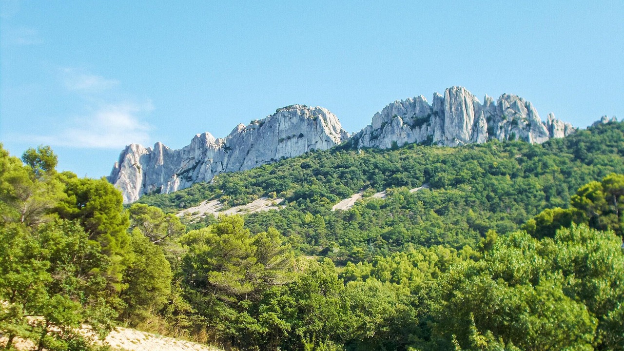 Photo of Others in Taulignan