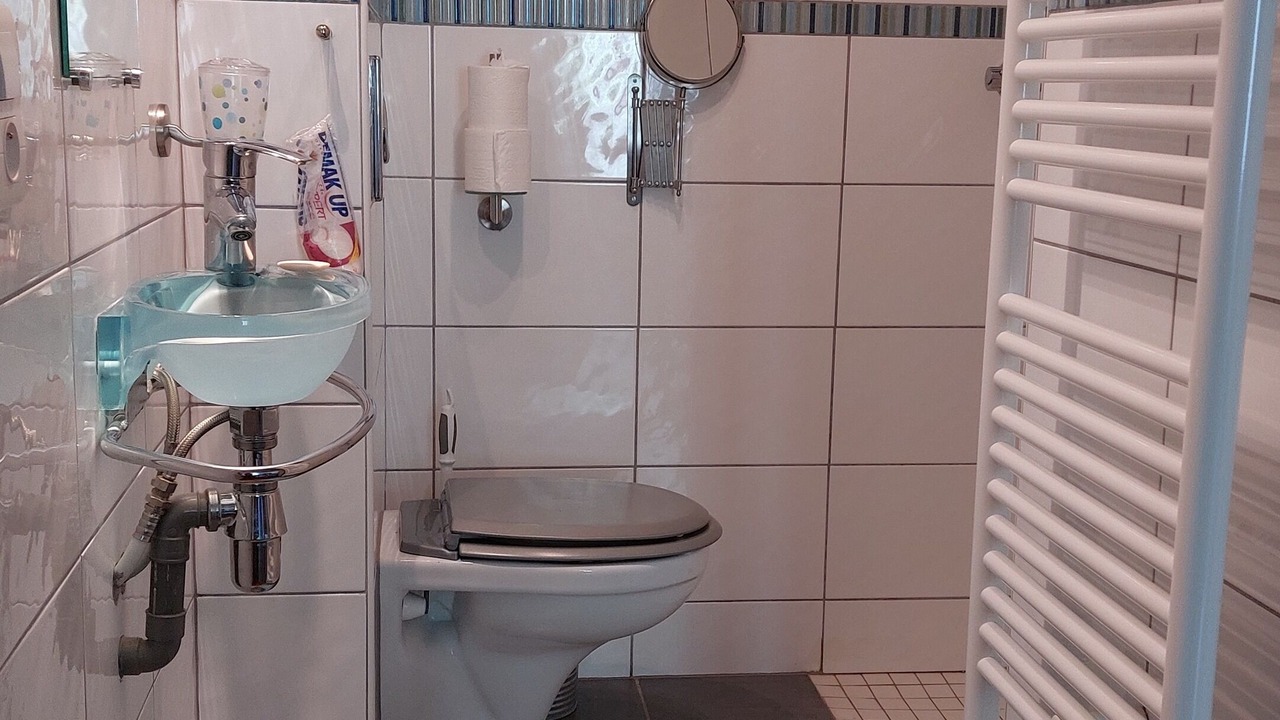 Photo of Bathroom in Le Larderet