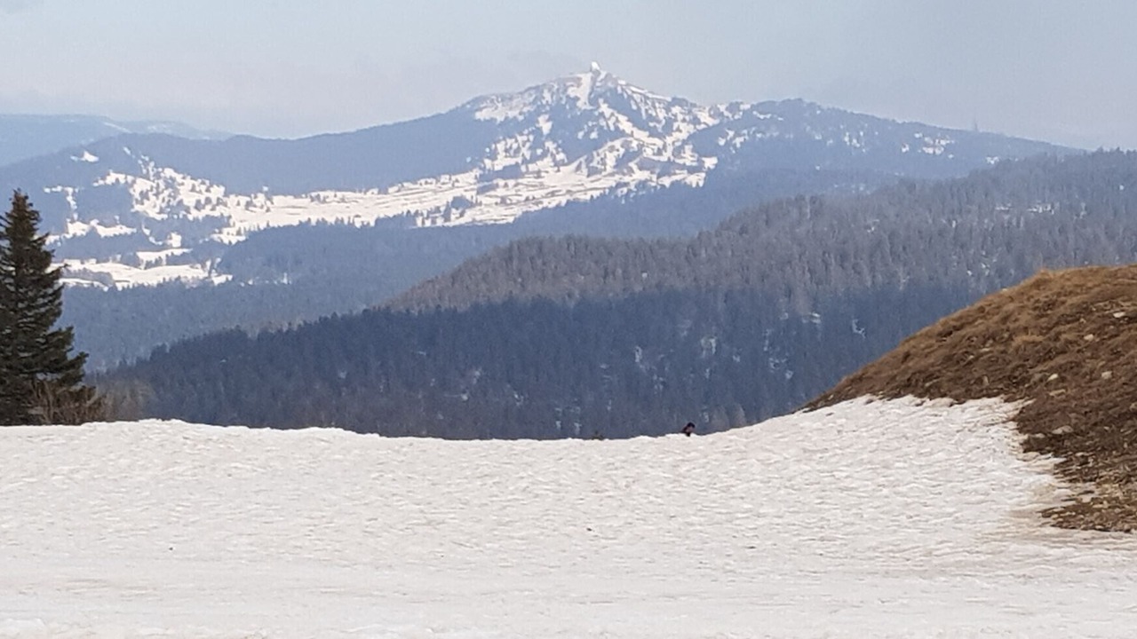 Photo of Others in Dortan