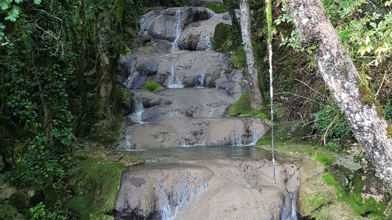 Photo of Others in Dortan