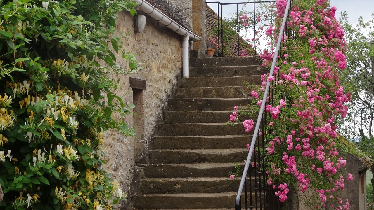 Photo of Outdoor in Anthien