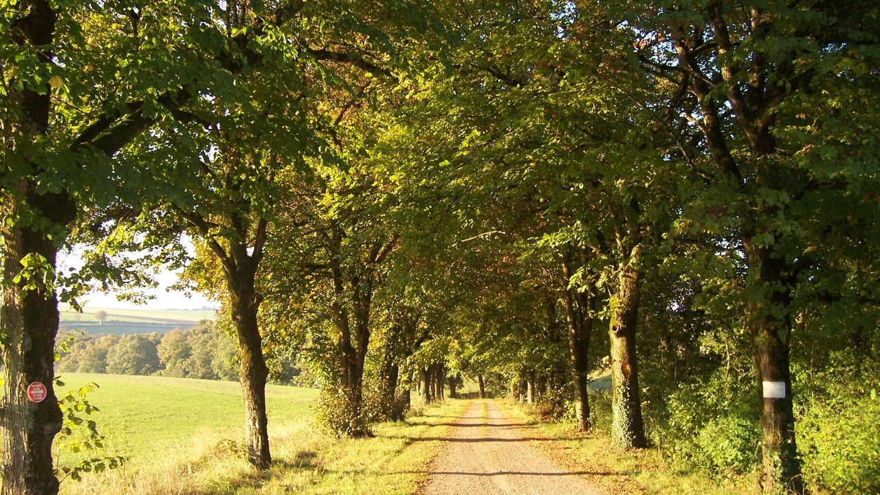 Photo of Others in Anthien