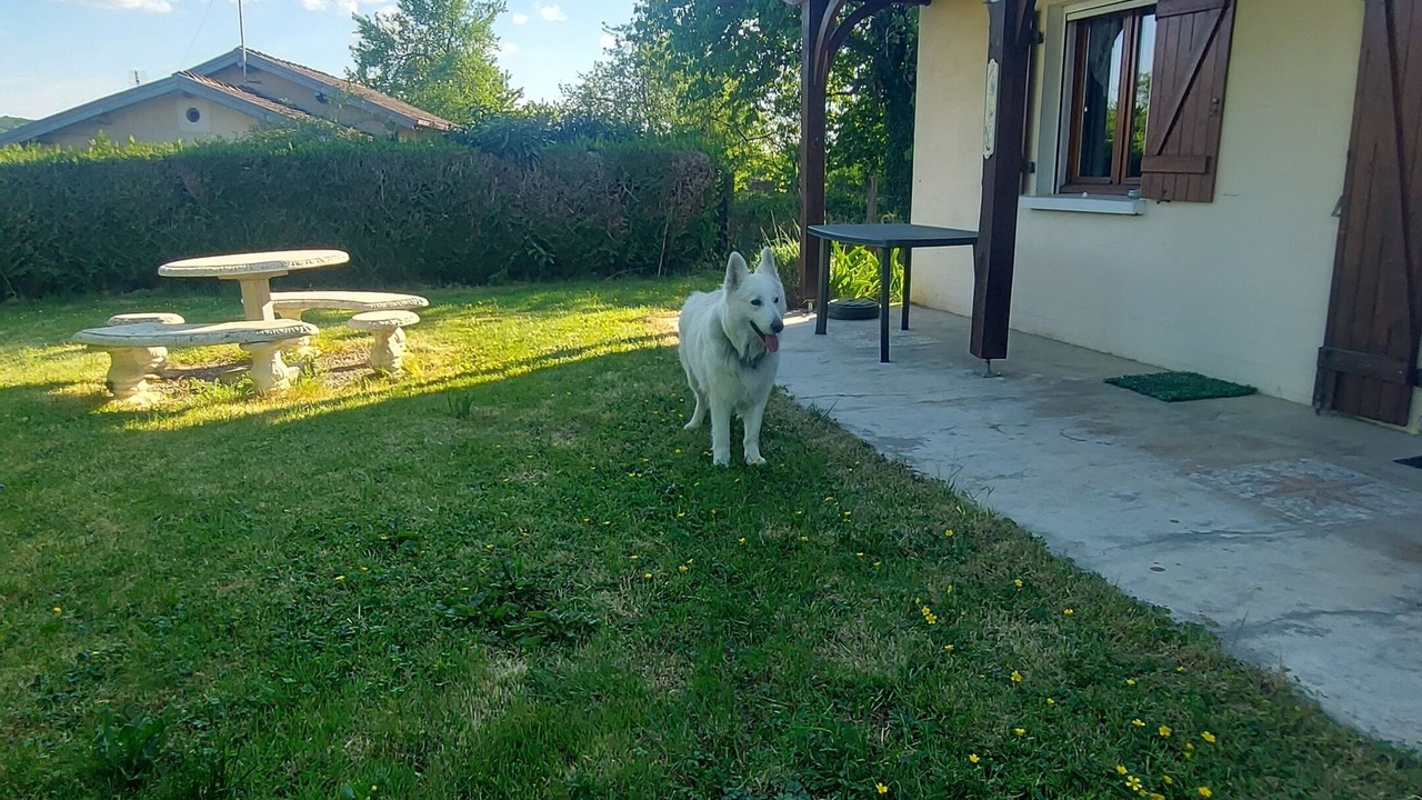 Photo of Outdoor in Venisey