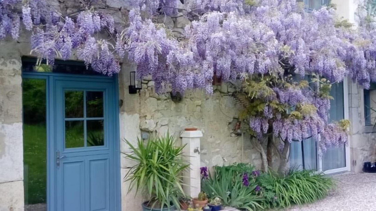 Photo of Outdoor in Billieme