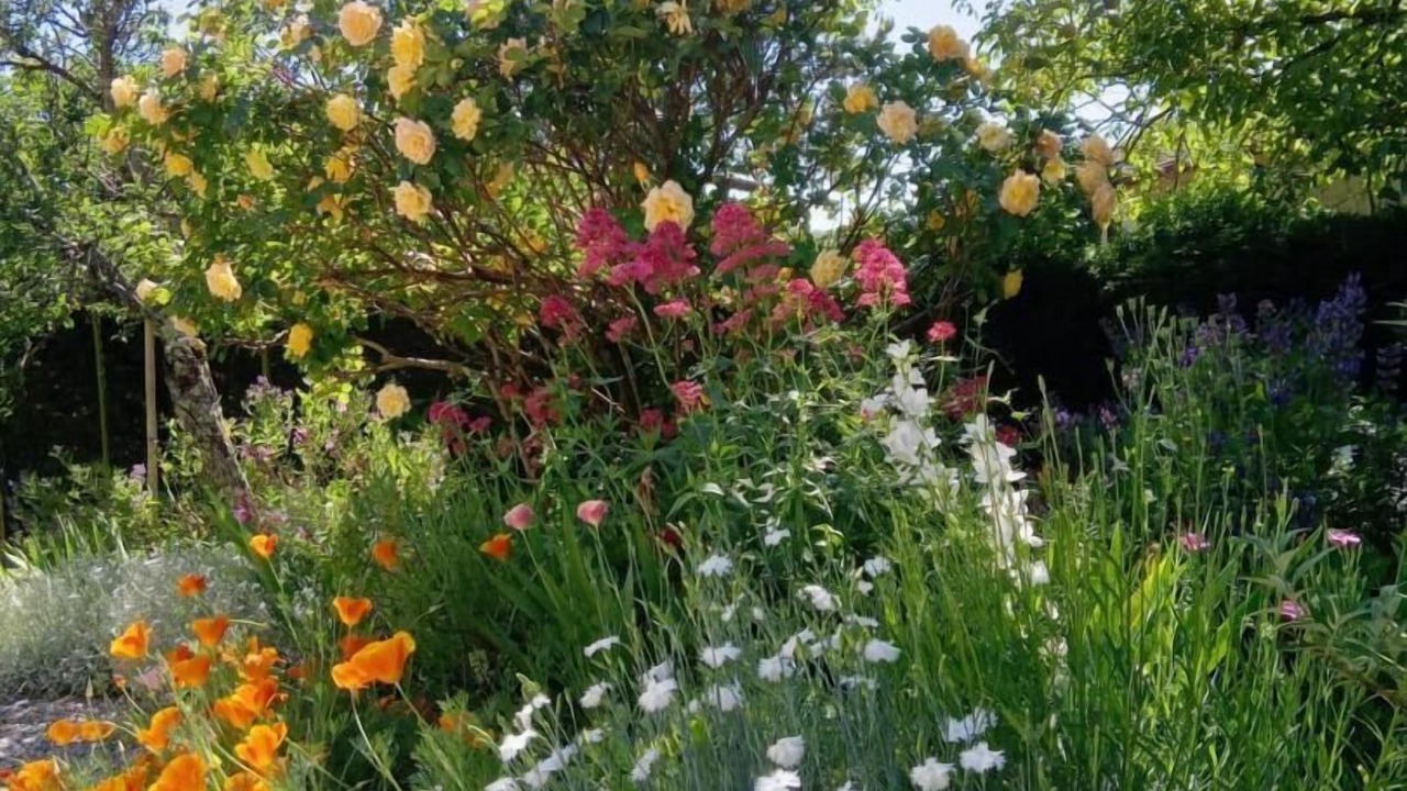 Photo of Outdoor in Billieme