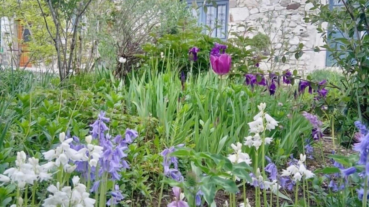 Photo of Outdoor in Billieme