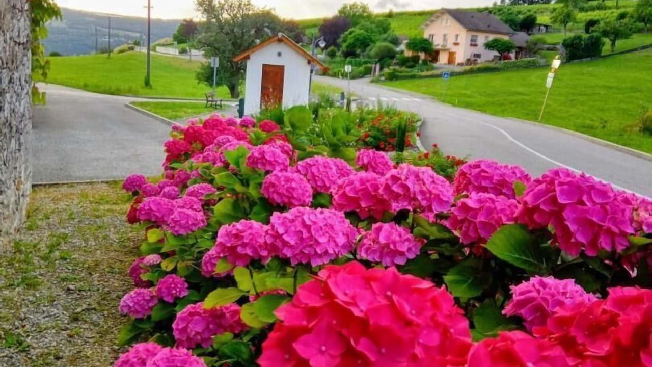 Photo of Outdoor in Billieme