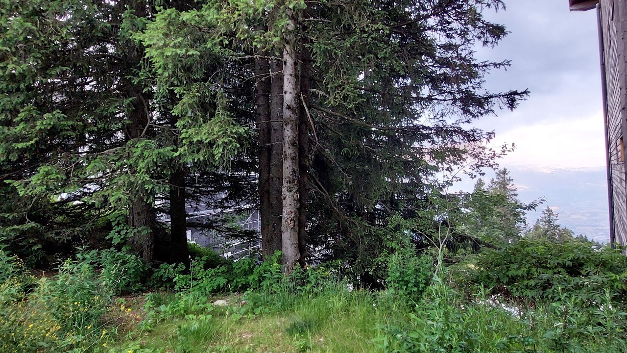 Photo of Outdoor in Chamrousse