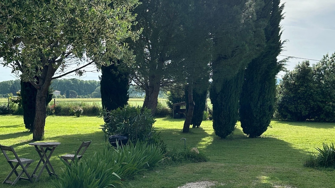 Photo of Outdoor in Chateauneuf-du-Rhone