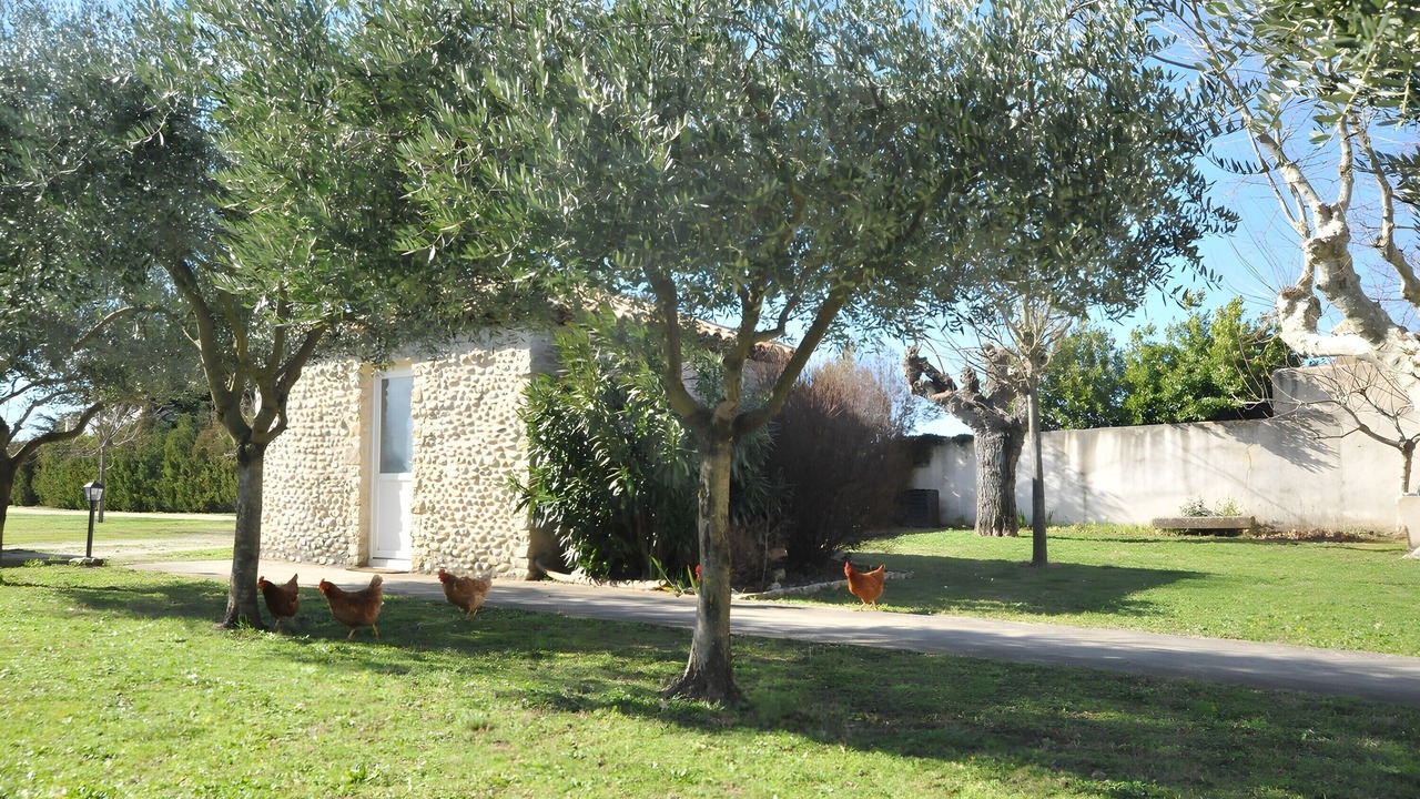 Photo of Outdoor in Chateauneuf-du-Rhone