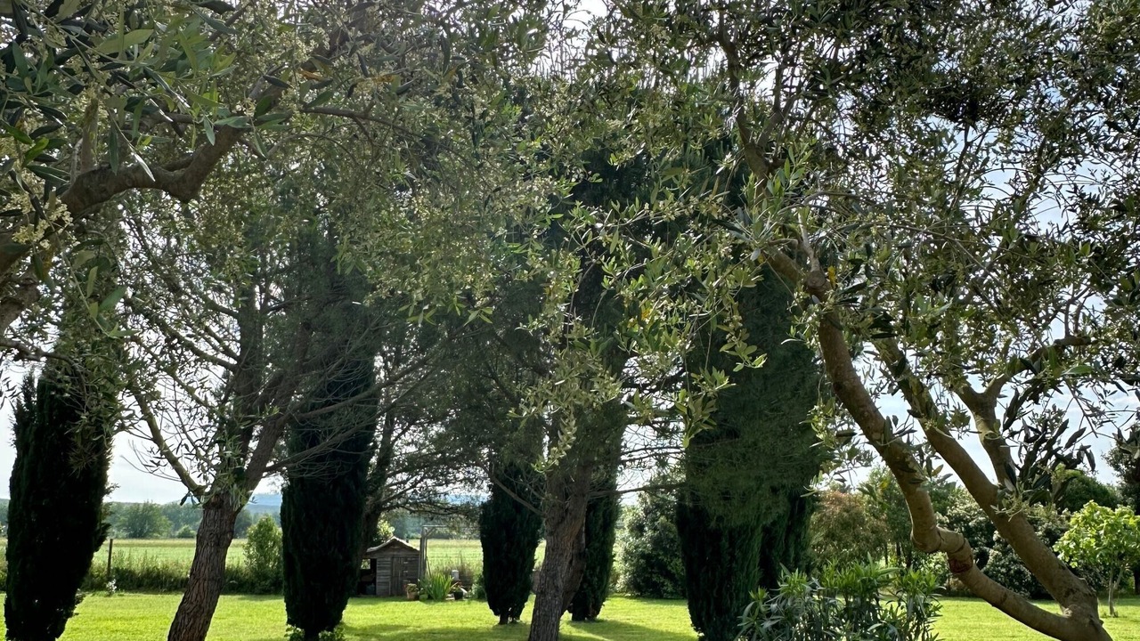 Photo of Outdoor in Chateauneuf-du-Rhone