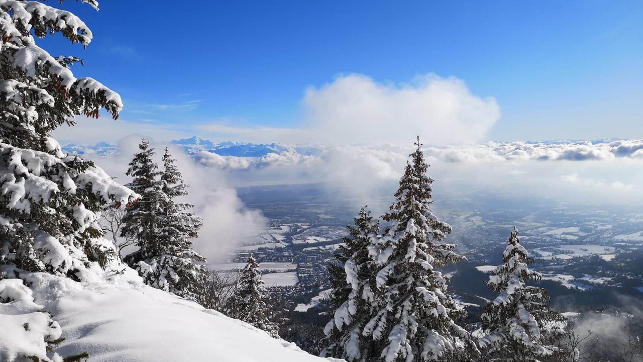 Photo of Others in Mijoux