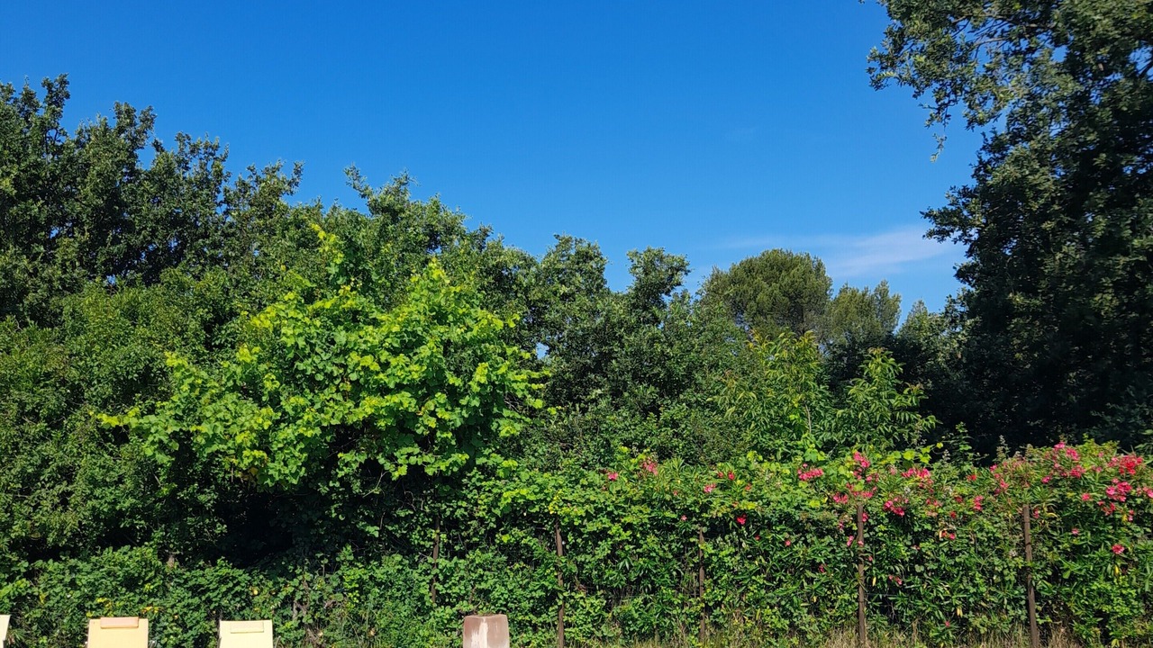 Photo of Outdoor in Portes-en-Valdaine