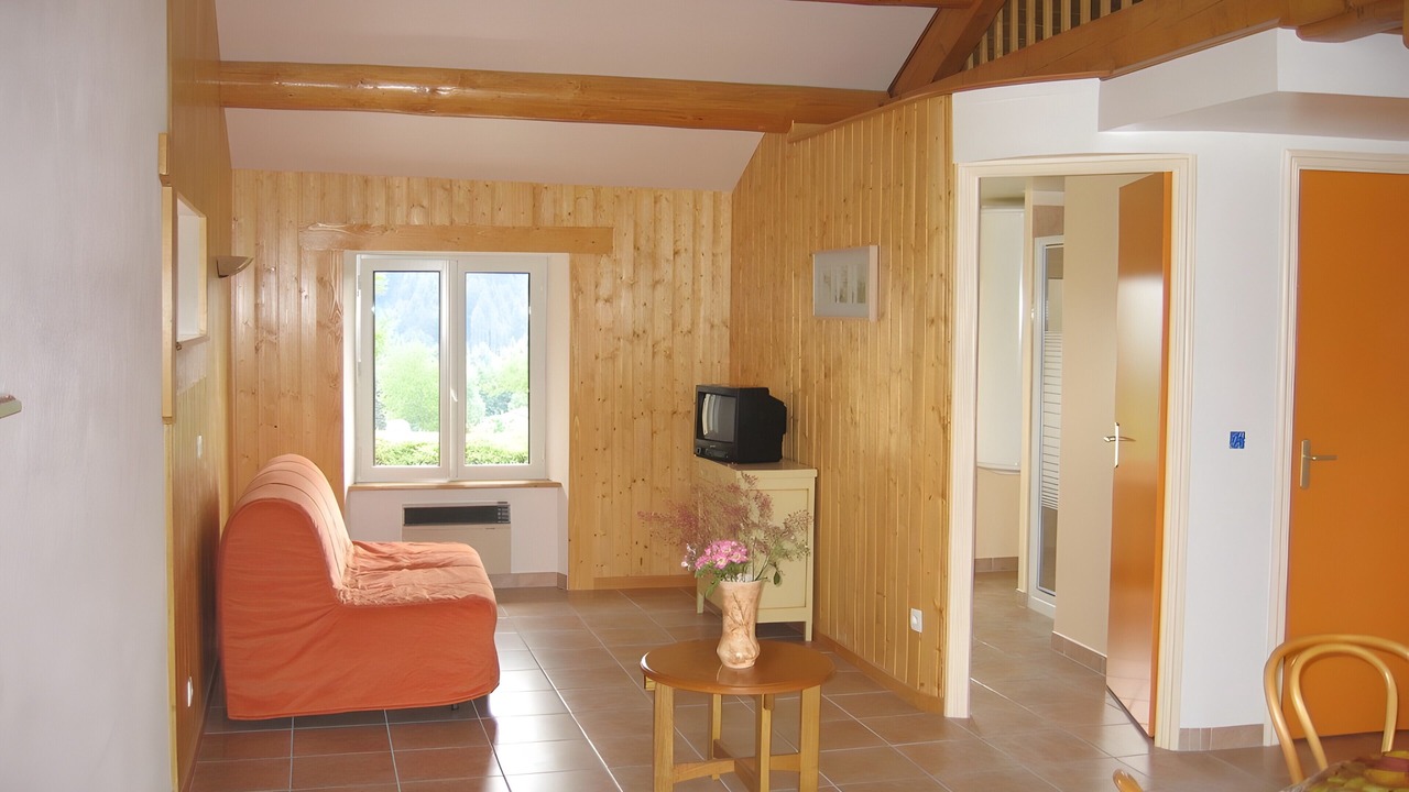 Photo of Livingroom in Saint-Alyre-d'Arlanc