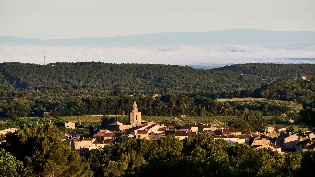 Photo of Others in Malemort-du-Comtat