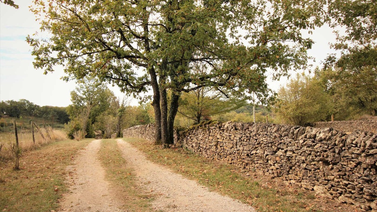 Photo of Others in Larroque