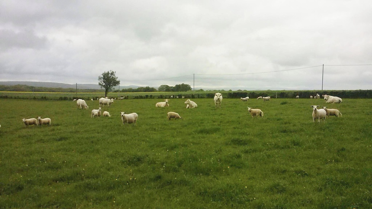 Photo of Others in Bazolles