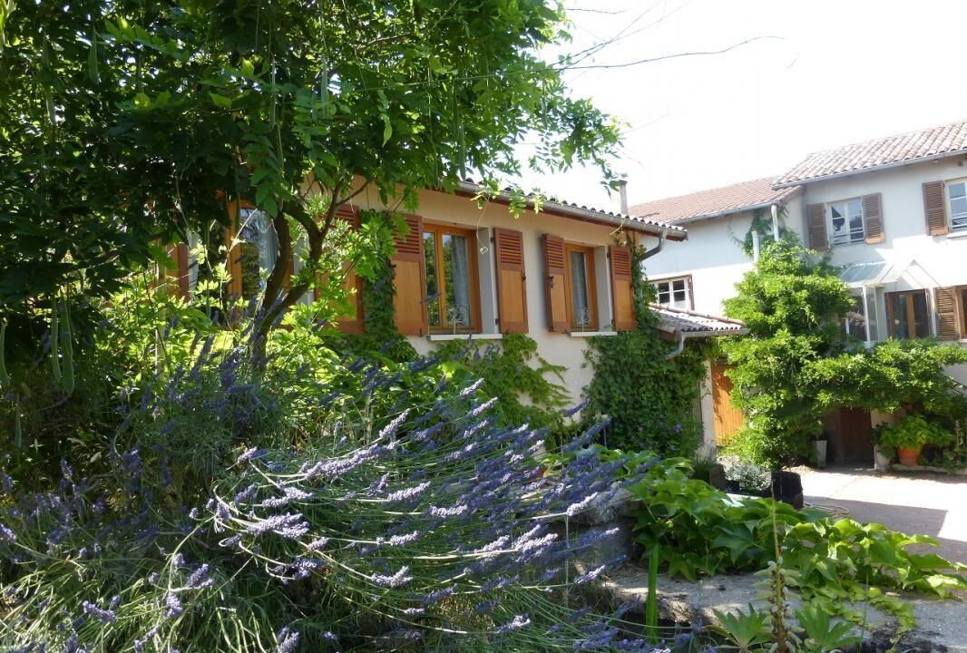 Photo of Outdoor in Villie-Morgon