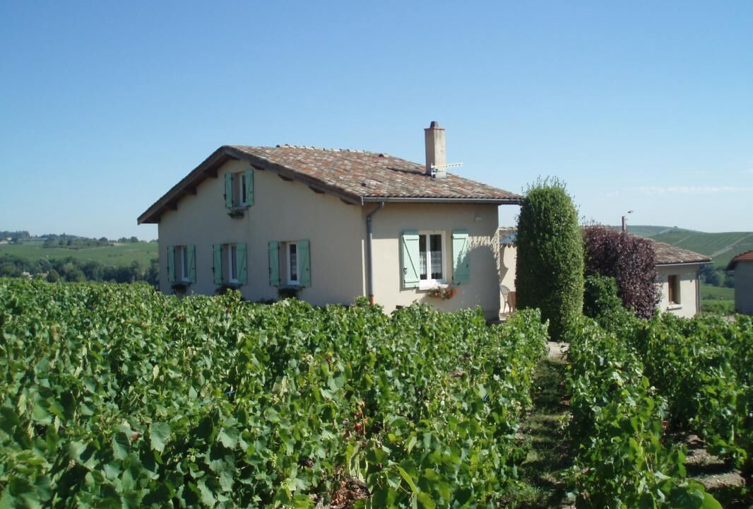 Photo of Outdoor in Regnie-Durette