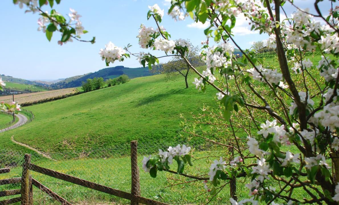 Photo of Outdoor in Les Ardillats