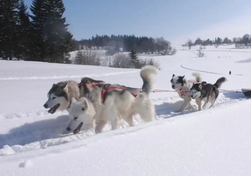 Photo of Others in Mijoux