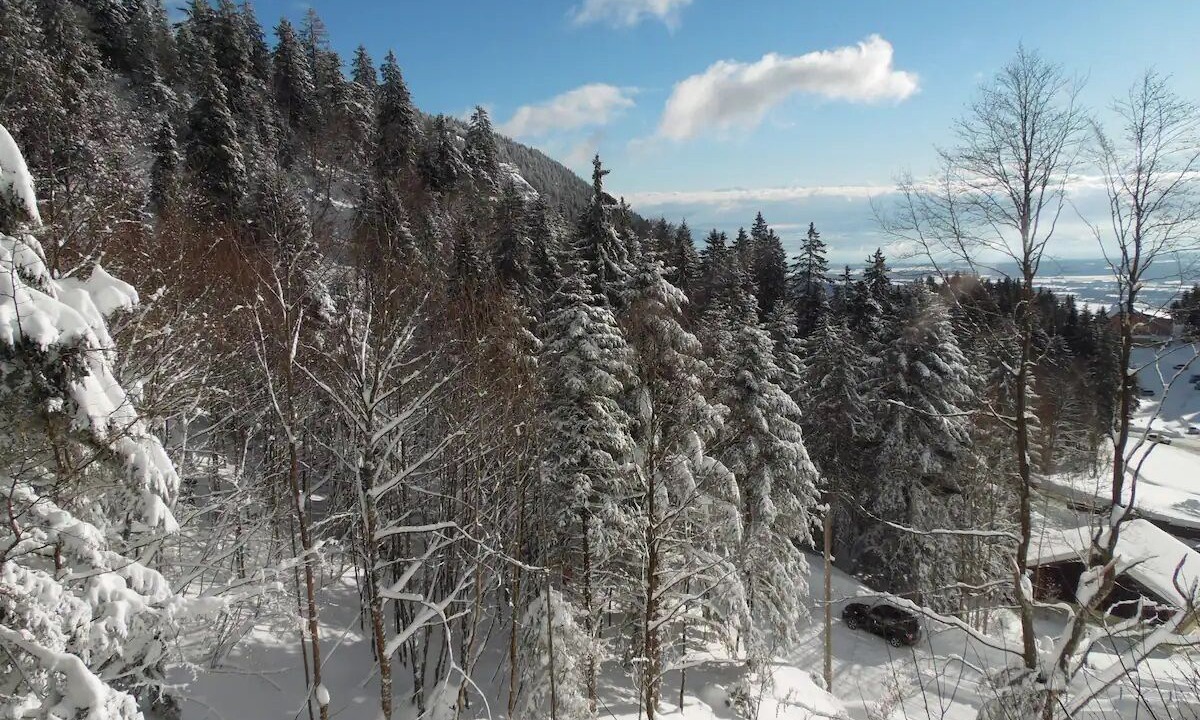 Photo of Others in Mijoux