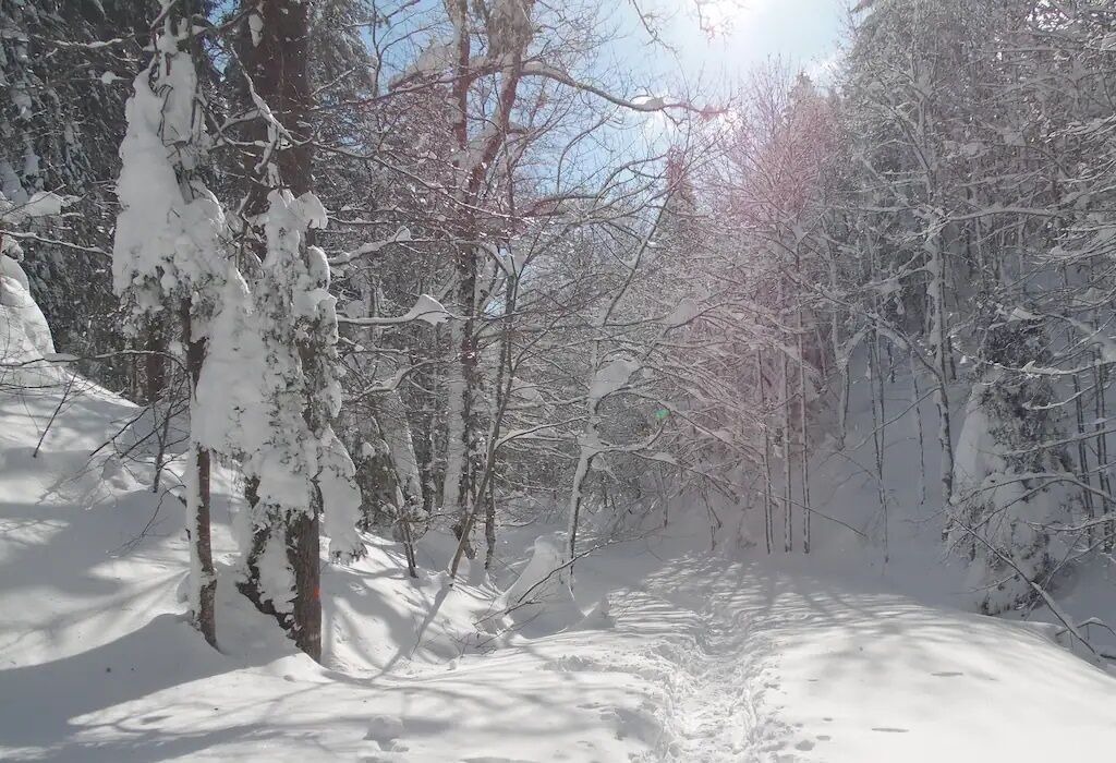 Photo of Others in Mijoux