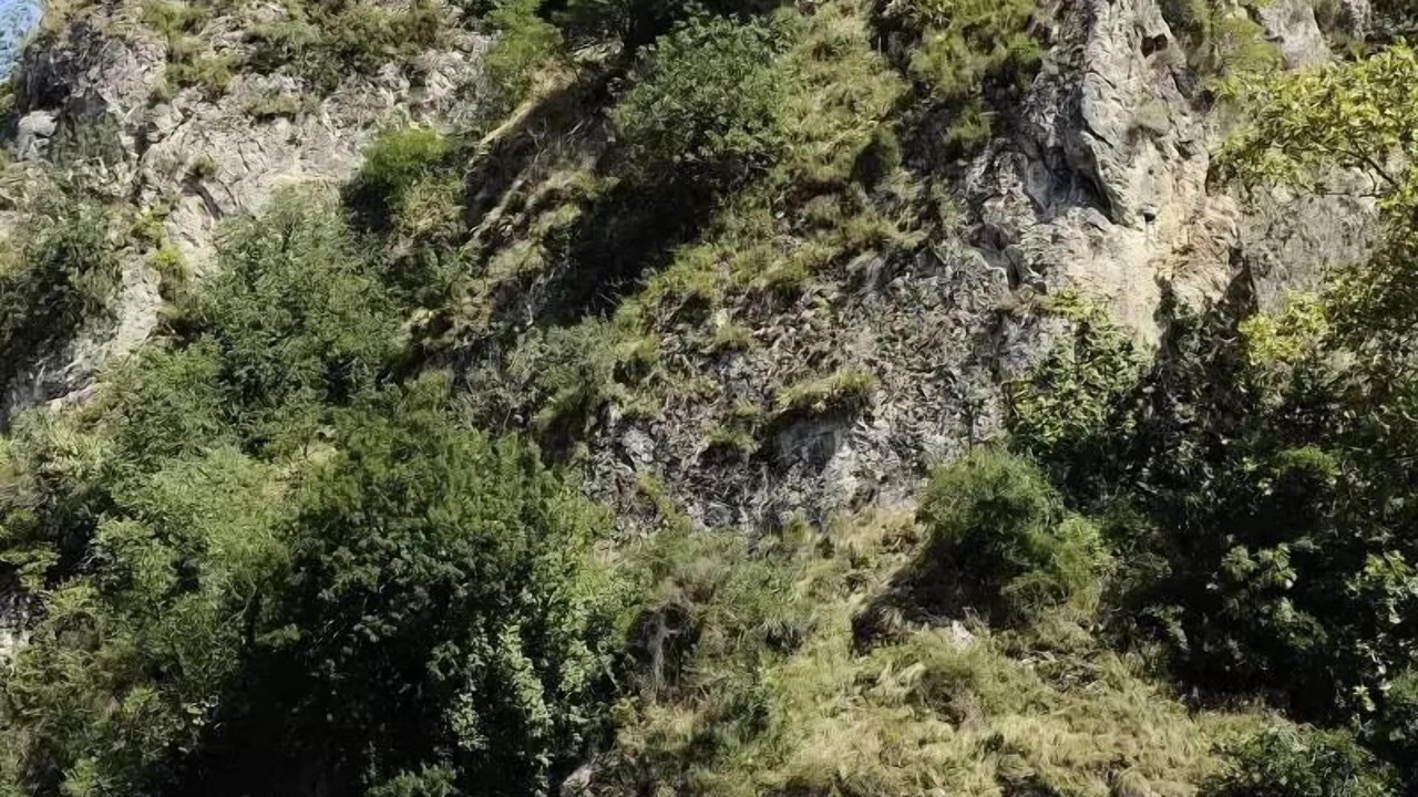 Photo of Others in Savignac-les-Ormeaux