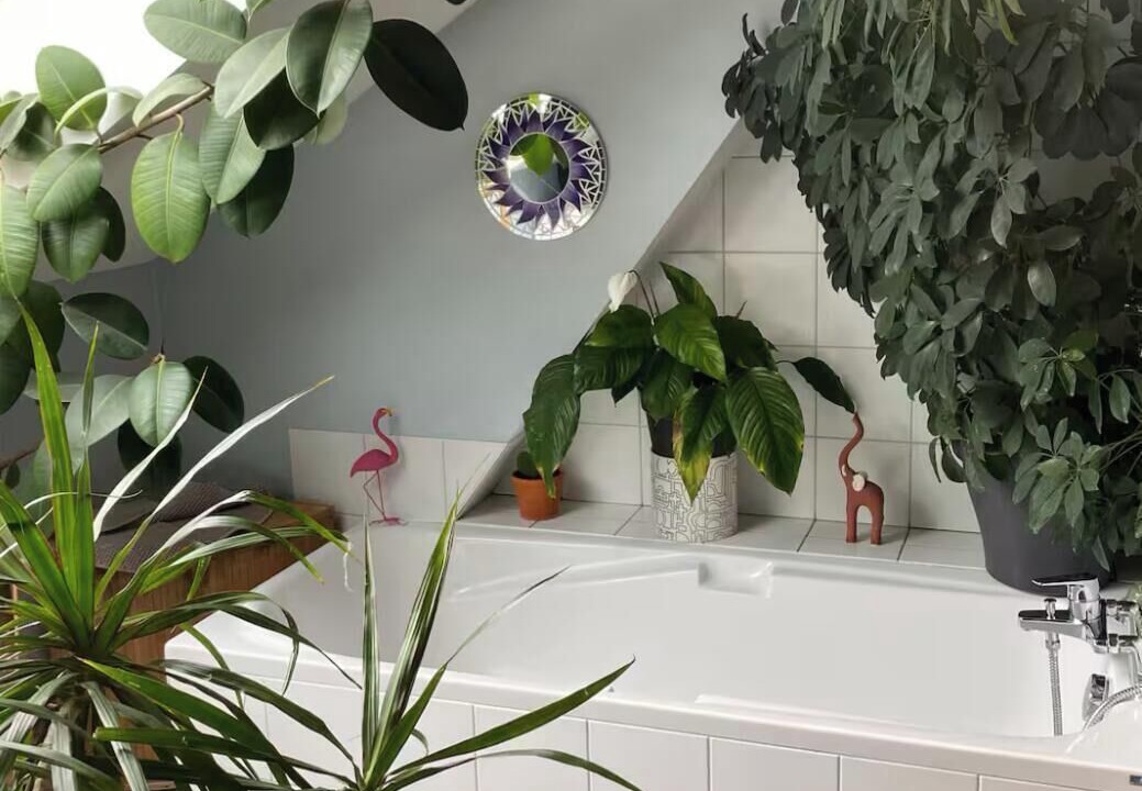 Photo of Bathroom in Malbuisson