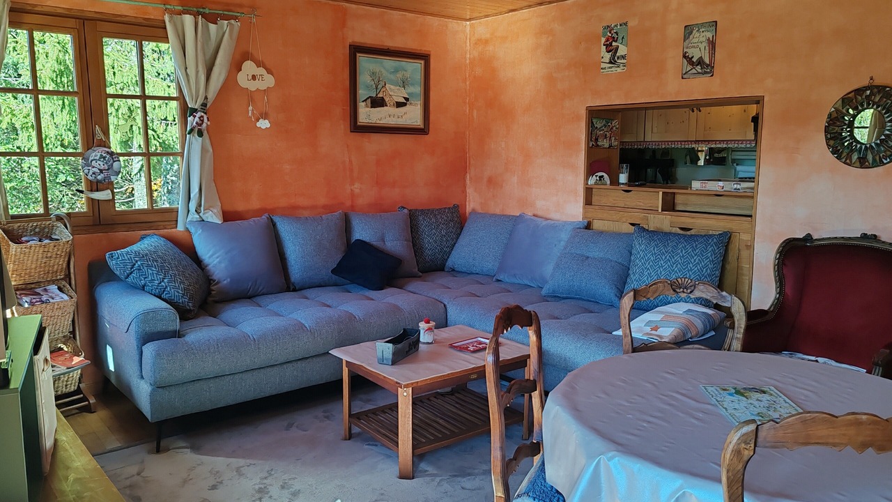 Photo of Livingroom in Laveissiere