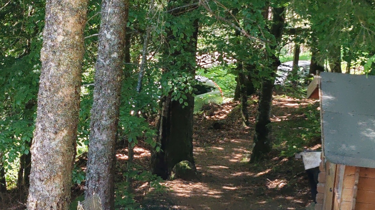 Photo of Outdoor in Laveissiere