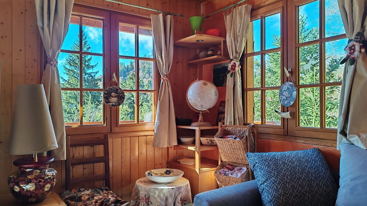 Photo of Livingroom in Laveissiere