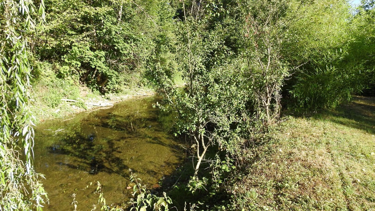 Photo of Others in Roches-Bettaincourt