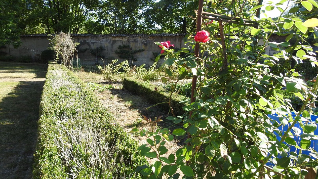 Photo of Outdoor in Roches-Bettaincourt