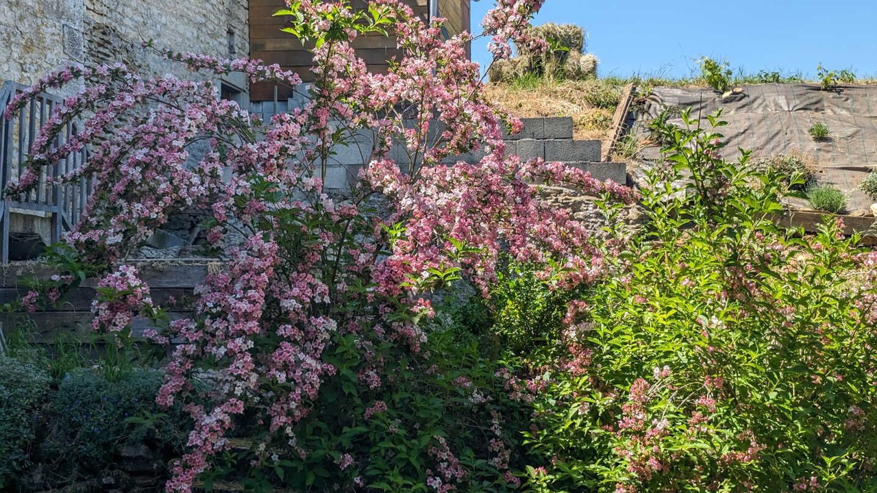 Photo of Outdoor in Forcey