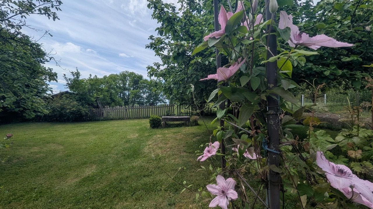 Photo of Outdoor in Saint-Blin