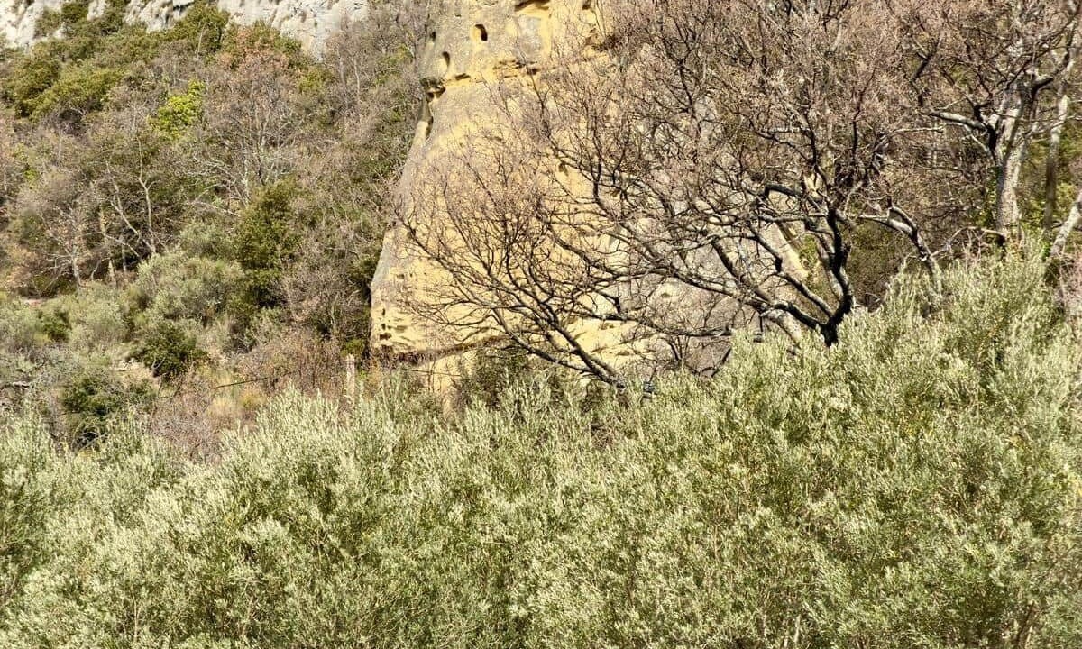 Photo of Others in Beaumont-du-Ventoux
