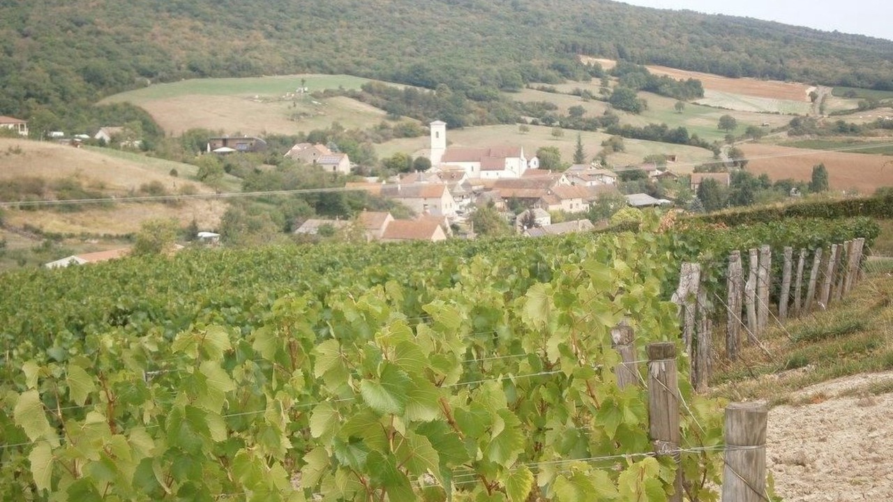 Photo of Others in Sennecey-le-Grand