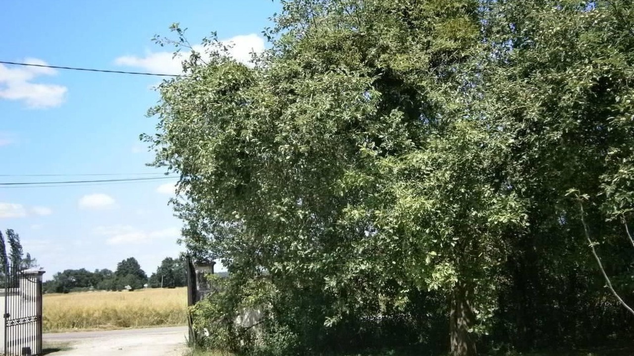 Photo of Others in Sennecey-le-Grand