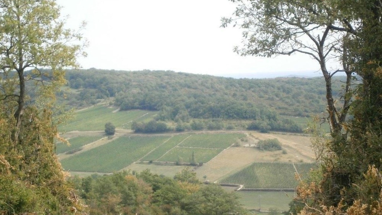 Photo of Others in Sennecey-le-Grand