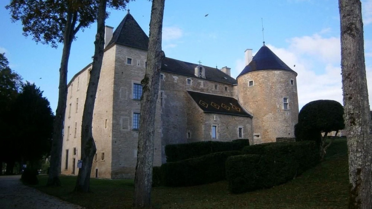 Photo of Others in Sennecey-le-Grand