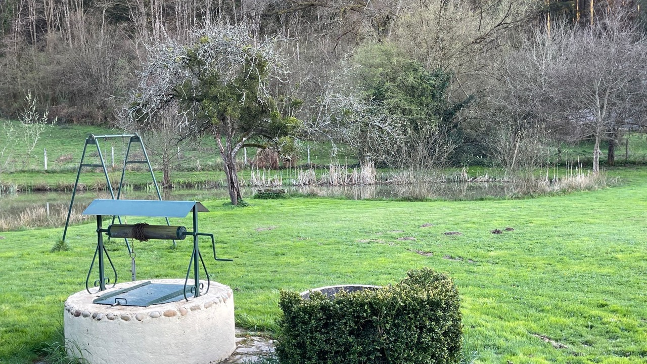 Photo of Others in Saint-Berain-sous-Sanvignes