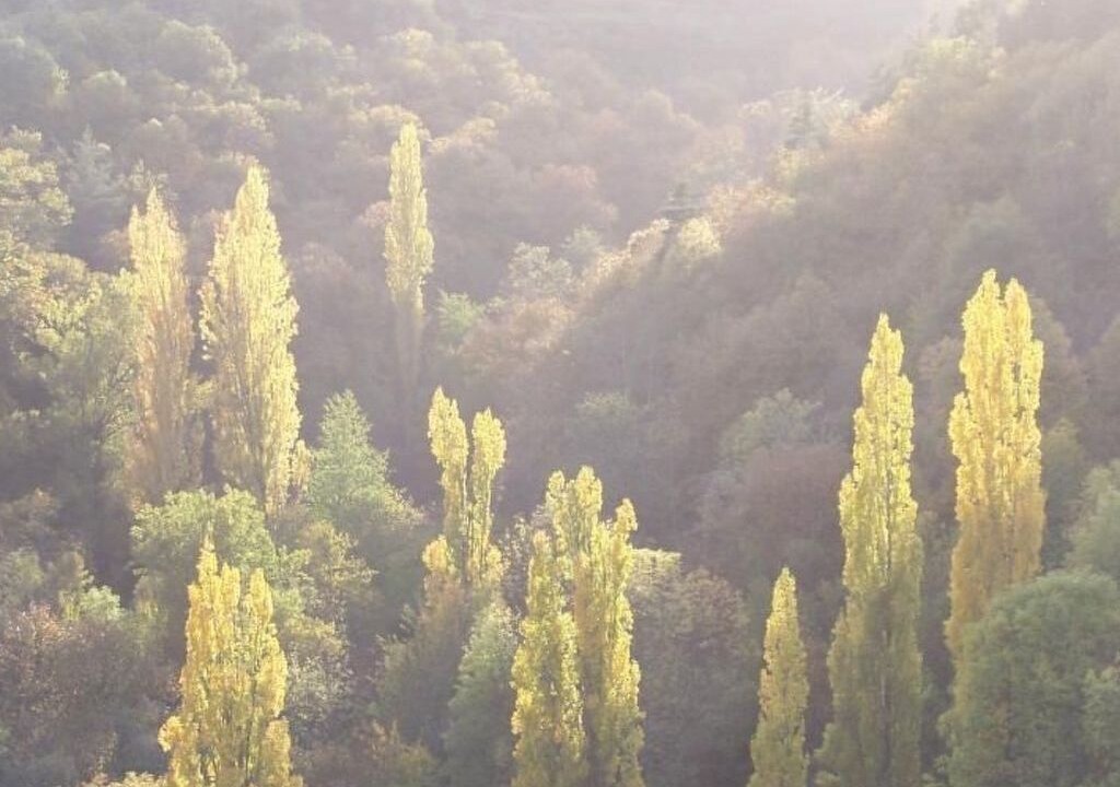 Photo of Others in Gluiras