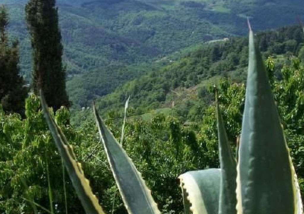 Photo of Others in Gluiras