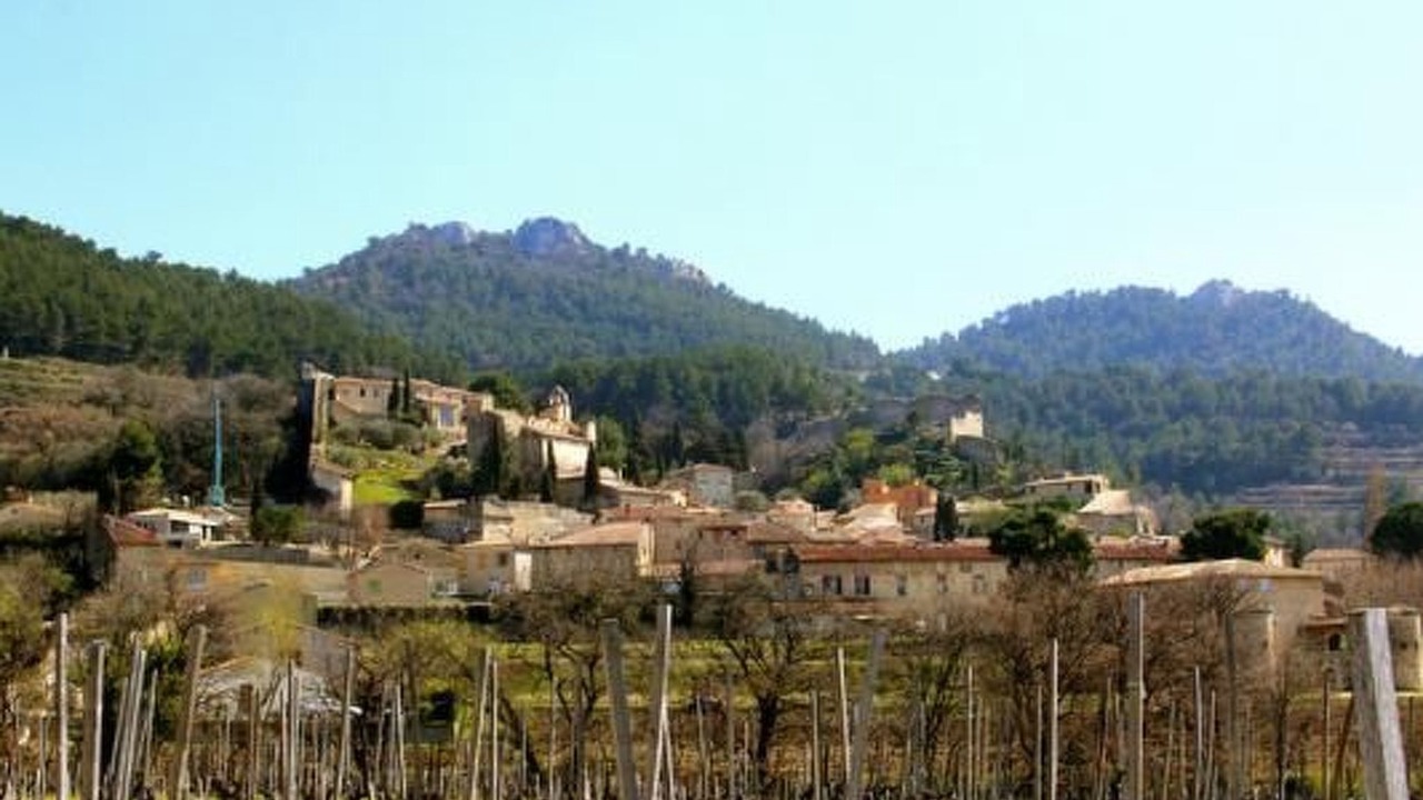 Photo of Others in Gigondas